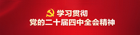学习贯彻党的二十届四中全会精神