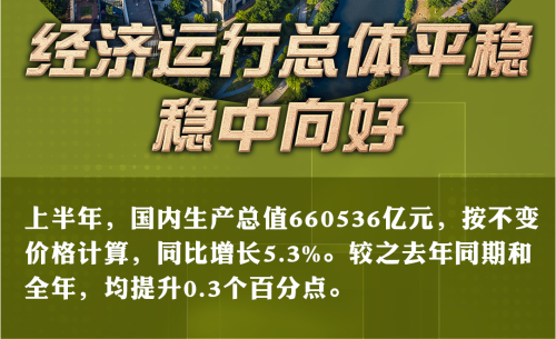 中国经济半年报